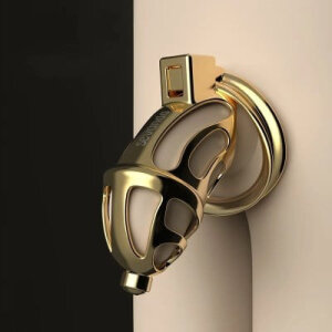 Пояс вірності металевий Lockink Sevanda з 3 кільцями різного діаметру, золотистий